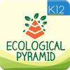 Ecological Pyramid-Food Chain