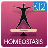 Homeostasis Biology