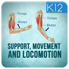 Support, Movement & Locomotion