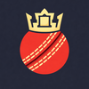Cricket Chairman: T20 Manager