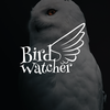 Birds Watcher