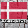 Danish News Hub