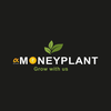 Alpha Money Plant