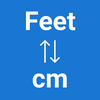 Feet To cm Converter