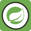 Spring Framework Pocket