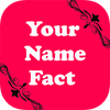 Your Name Fact | Your Name Mea