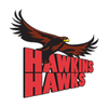 Hawkins STEMM Academy - TPS