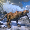 Snow Leopard Wild Hunting Game