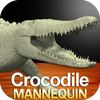 Crocodile Mannequin