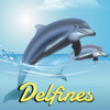Imagenes de Delfines