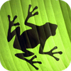 Jumping Frog Strategy