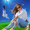 Bird Photo Editor background
