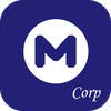 Mestika Token Corporate