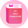 NIV Bible Notes