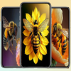 Bee Wallpaper : Cute Insect HD