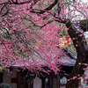 Japan Wallpapers HD
