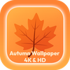 Autumn Wallpaper 4K & HD