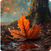 Autumn Wallpapers HD Offline
