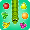 Fruit Snake