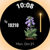 Bloom Steps: Flower Watch Face