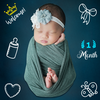 Baby Milestones Status Editor