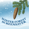 Winter Forest Screensaver