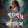 Bangla Status(বাংলা স্ট্যাটাস)