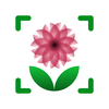PlantQ: Plant ID & Care