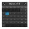 Month Calendar Widget