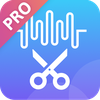 Music Editor Pro