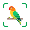 BirdAiSnap - Bird Identifier