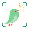 Bird Identifier: Bird Sound ID