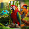 Bird Wallpapers 4K HD