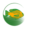 My Fish Manager - Farming app