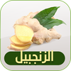 فوائد الزنجبيل