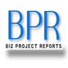 BPR - Business Project Reports