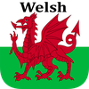 Welsh Translator
