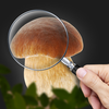 Mushroom Identification App