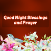 Good Night Blessings & Prayer