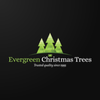 Evergreen