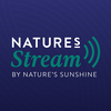 Nature's Stream