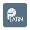 Platin