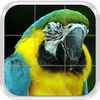Birds Puzzle Game