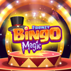 Bingo Magic Frenzy