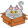 Cats in Boxes