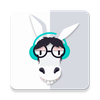 Brainy Donkey