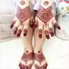 Bridal Easy Mehndi Design