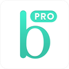 Bridestory Pro (for vendors)
