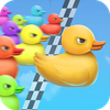 Duck Race: Name Picker