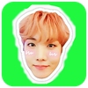 WAStickers -BTS kpop Stickers